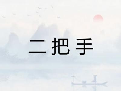 二把手 二把手