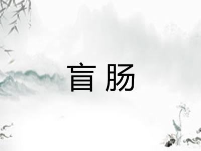 盲肠