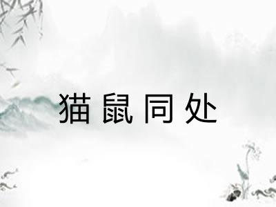 猫鼠同处 猫鼠同处