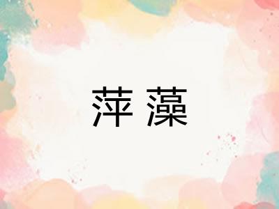 萍藻 萍藻