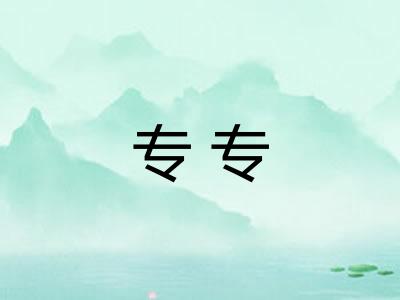 专专