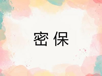 密保