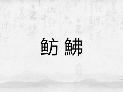 鲂鮄 鲂鮄