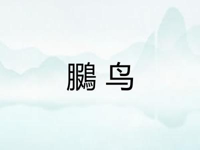 鵩鸟 鵩鸟