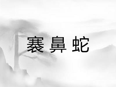褰鼻蛇