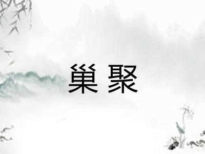 巢聚