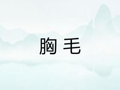 胸毛 胸毛