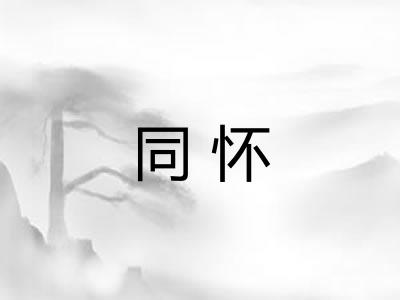 同怀