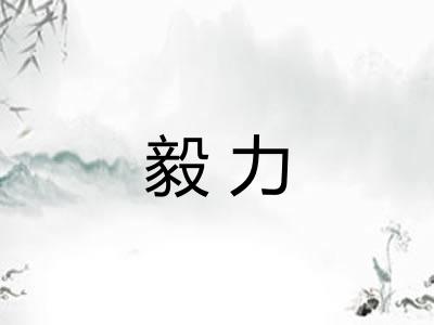 毅力