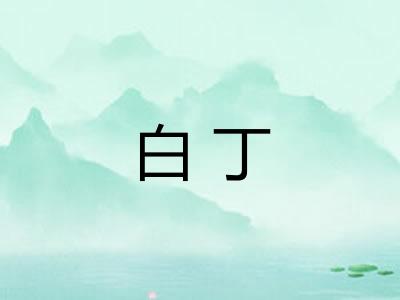 白丁 白丁