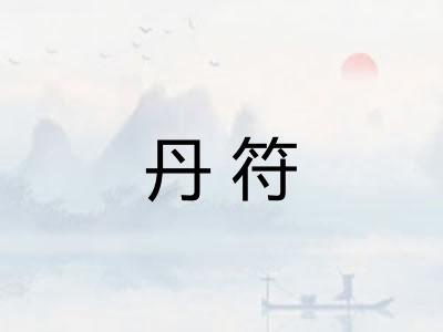 丹符 丹符