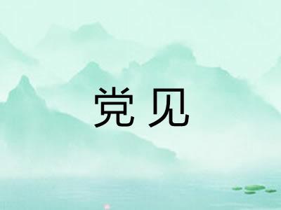 党见 党见