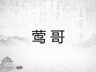 莺哥