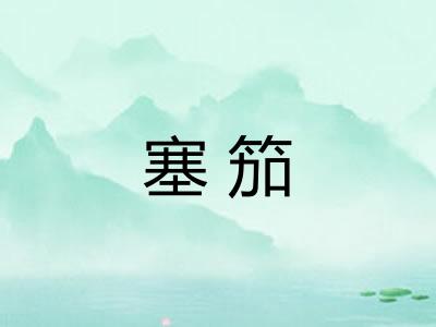塞笳