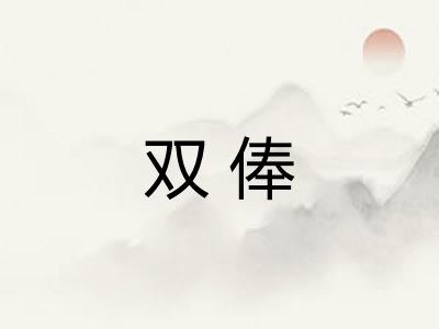 双俸