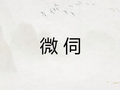 微伺 微伺