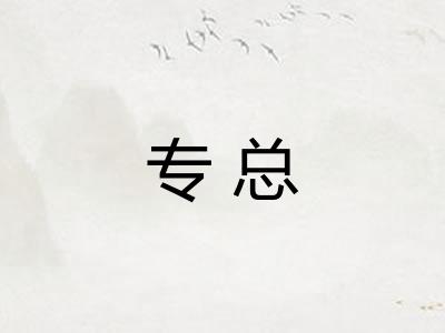 专总