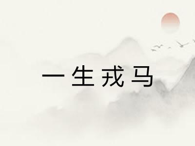 一生戎马