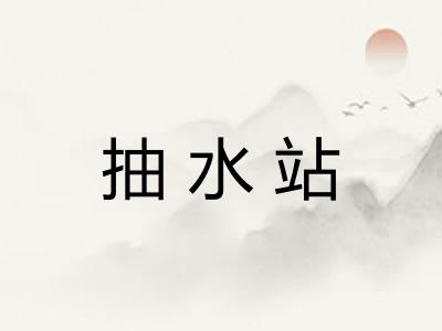 抽水站 抽水站