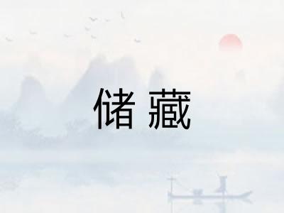 储藏 储藏