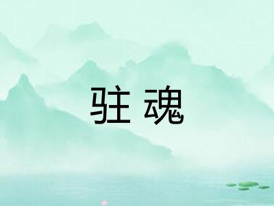 驻魂