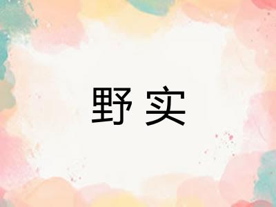 野实