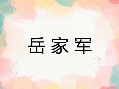 岳家军 岳家军