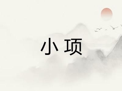小项 小项