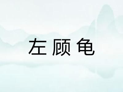左顾龟