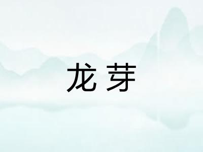 龙芽