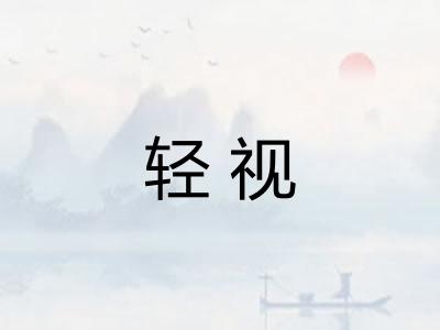 轻视