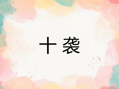 十袭