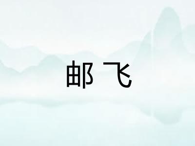 邮飞 邮飞