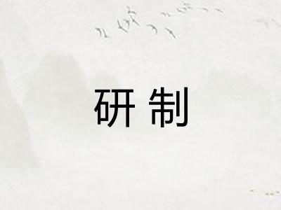 研制 研制
