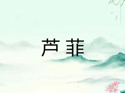 芦菲