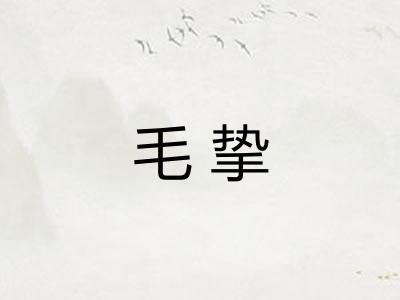 毛挚