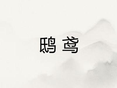 鸱鸢