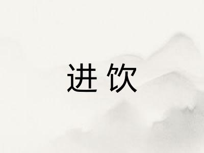 进饮 进饮
