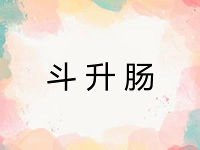 斗升肠