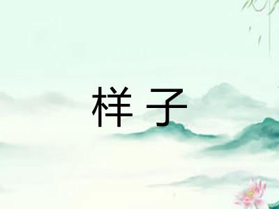 样子