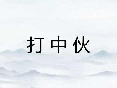 打中伙 打中伙