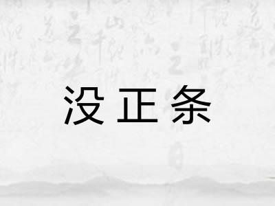 没正条 没正条