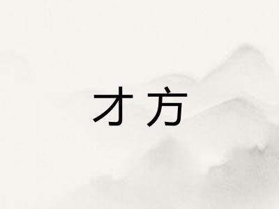才方 才方