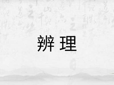 辨理 辨理