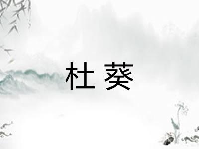 杜葵
