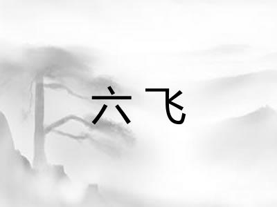 六飞