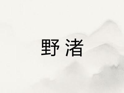 野渚