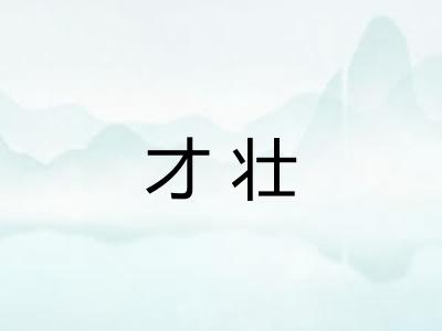 才壮 才壮