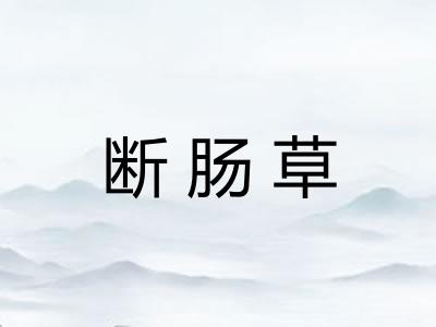 断肠草