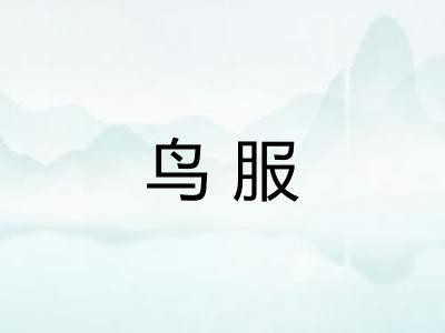 鸟服